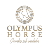 Olympus Horse